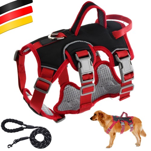 Hundegeschirr