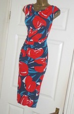 Phase Eight blau rot Tulpe