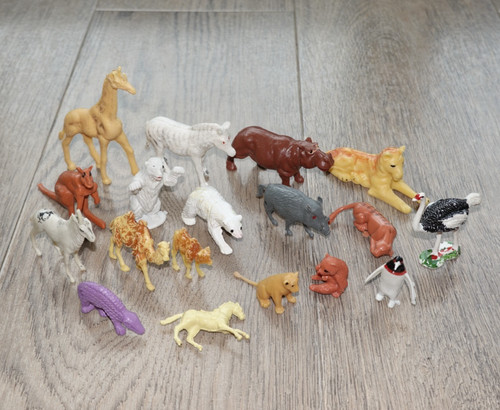 ältere wildtiere giraffe - ältere,