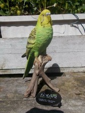 Wellensittich grün Sittich Deko Figur natürlich Gartenfigur wetterfest HOTANT NE