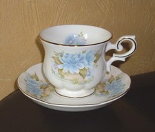 Royal Canterbury , Fine Bone China, 1 Gedeck, 2 teilig, Blue Temple Garden