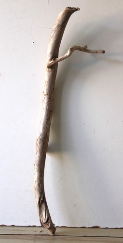 Treibholz schwemmholz - treibholz,
