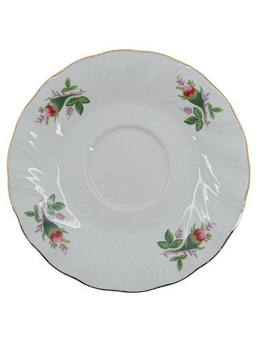 Domestic victorian rose - domestic,
