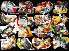 # GLANZBILDER # Krüger 98-02