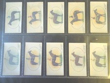 1933 Rennpferd Derby Grand