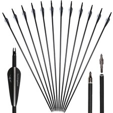 Bogenschießen Pfeile Carbon