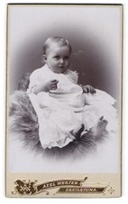 Fotografie Axel Wester