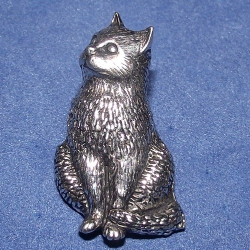 Schöne sitzende moggie katze - schöne,