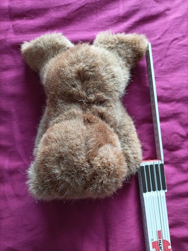 Alter steiff teddy - alter,