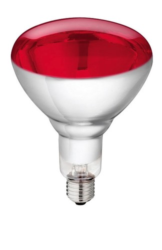 Infrarotlampe 250w - infrarotlampe,