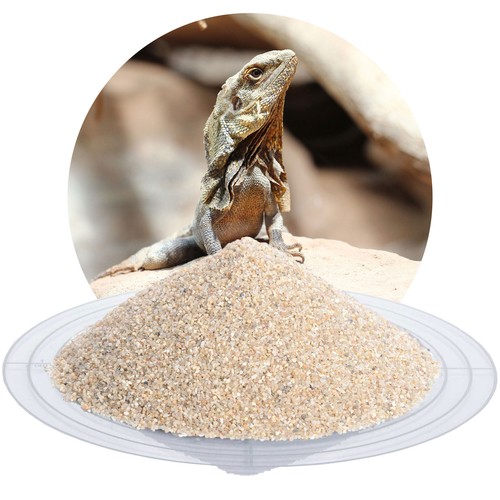 Terrariensand beige kg - terrariensand,