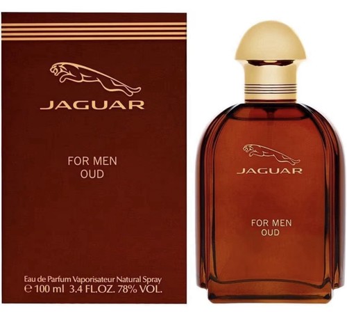 Jaguar oud 4 - oud, by