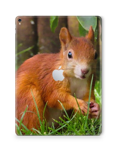 Apple ipad skin schutzfolie - skin,