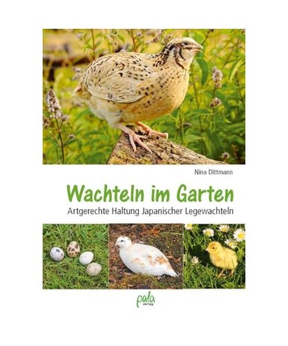 Wachteln garten - im,