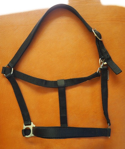Halfter warmblut xfull extra - halfter,