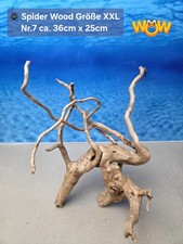 👋XXL Moorkien - Spiderwood Aquarium Wurzel