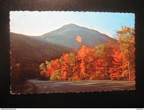 Mount willey new - mount,