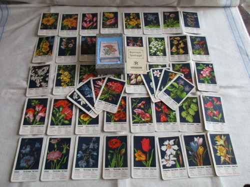 Neues blumen quartett - blumen,