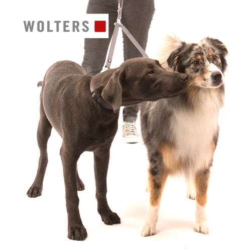 Wolters professional koppel - professional,