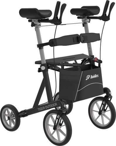 Arthritis rollator - arthritis,