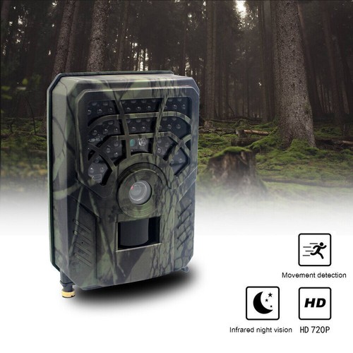 Wildkamera überwachungskamera - wildkamera,