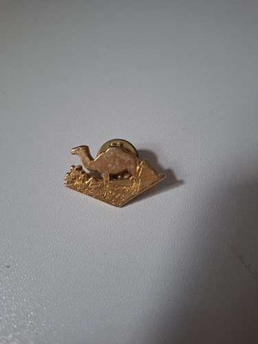 Goldfarbener camel anstecker - goldfarbener, camel-anstecker