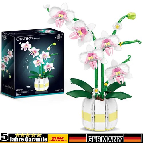 Orchidee bausteine - orchidee,
