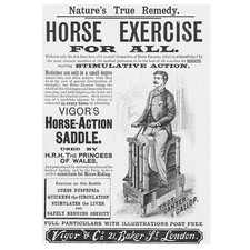 VIGOR'S Horse Action Sattel