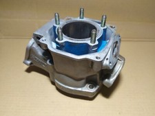 Rotax 123 Zylinder | Aprilia