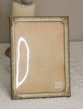 25,3 x 19,3 Prächtiger