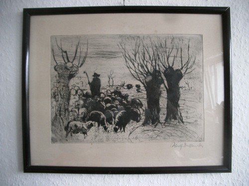 Altes bild schafherde - altes,
