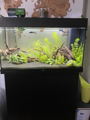 Juwel aquarium 120l - aquarium,