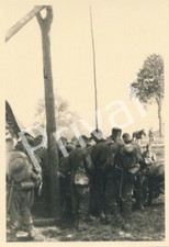Photo WWII 97.Jäger-Div