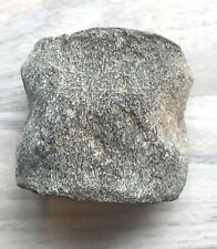 Knochen Wirbel Fossil Mammut