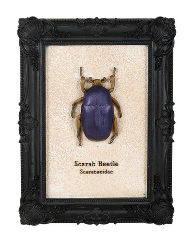 Schwarzer gothic bilderrahmen - schwarzer,