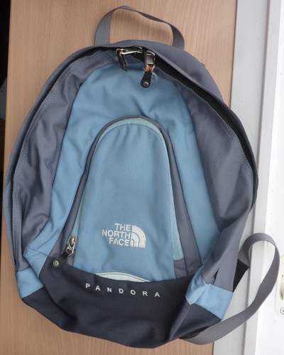 The north face pandora - the,