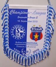 Schalke Wimpel Banner