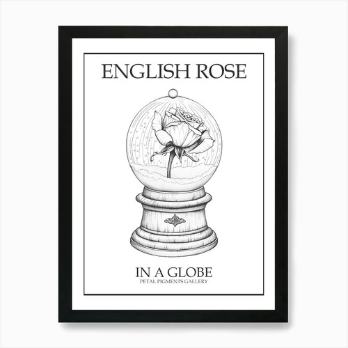 Englische rose globus - rose,
