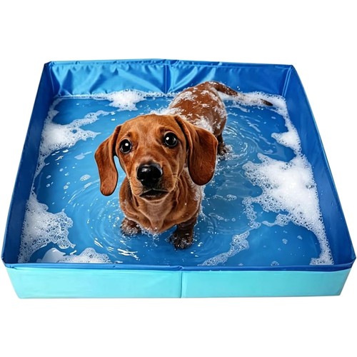 Hundepool planschbecken - hundepool,