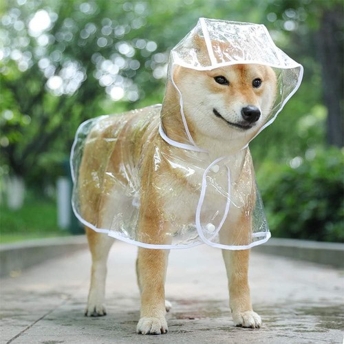 Regenmantel für kleine hunde - regenmantel,