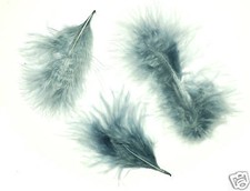 Federn Feder Marabu schwarz Bacatus 20x