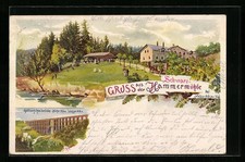 Künstler-AK Netzschkau /Th., Hammermühle mit Garten und Gästen, Göltzschthalbrü 
