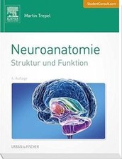 Neuroanatomie: Struktur und