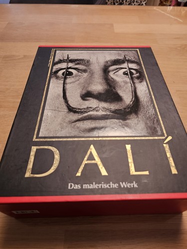 Salvador dali 1904 - salvador,
