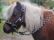 MINISHETTY Trense REITHALFTER ZÜGEL Mini  Shetland Pony Sidepull gebisslos