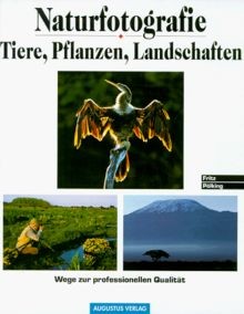Naturfotografie tiere - naturfotografie,