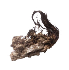 Silber gediegen  dicker Silberdraht  Schneeberg  Erzgebirge Sachsen  historisch