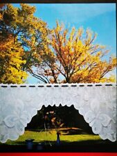 B8: Kurzgardine ca. 50*160 cm