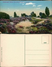 Lüneburger heide - heide,