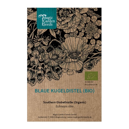 Blaue kugeldistel echinops - blaue,